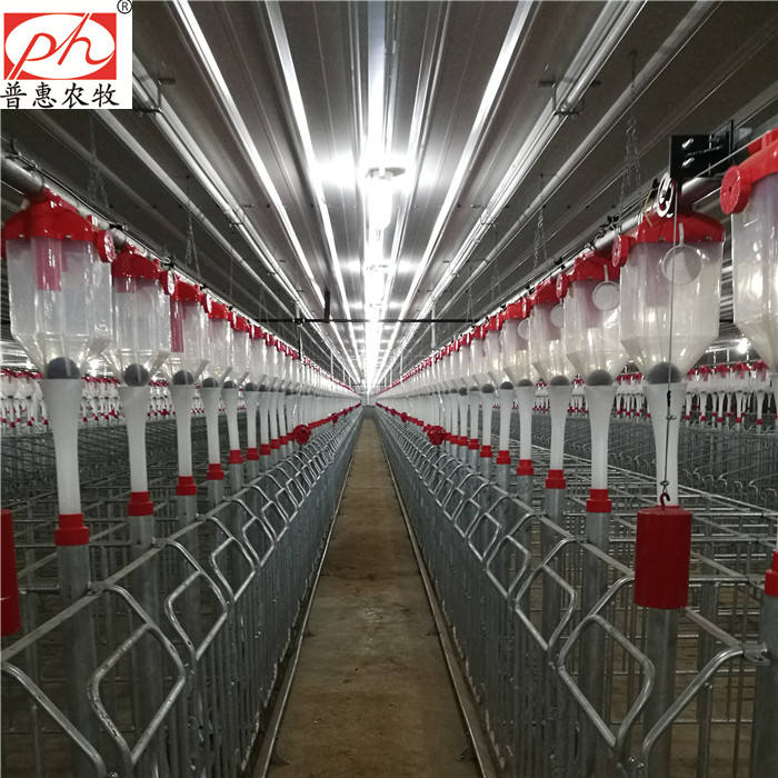 iϾ ĸiϾ ԄӻO  Ԅι