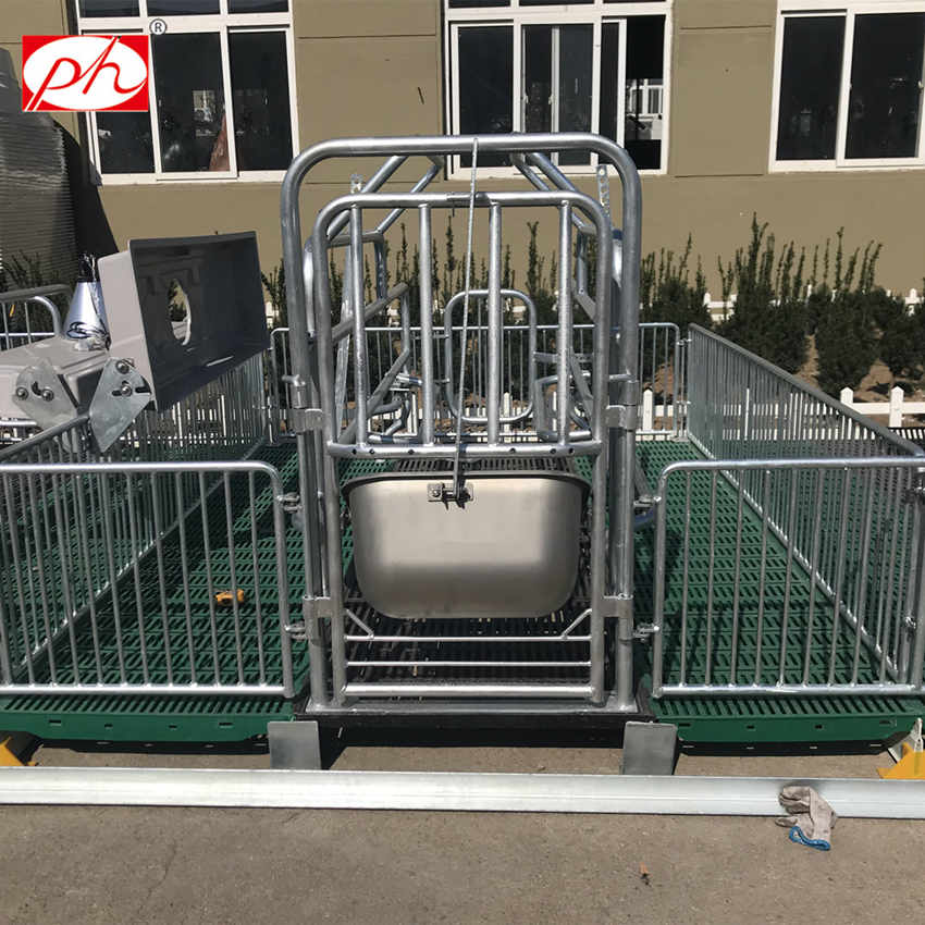 鐵柵欄產(chǎn)床 母豬產(chǎn)床