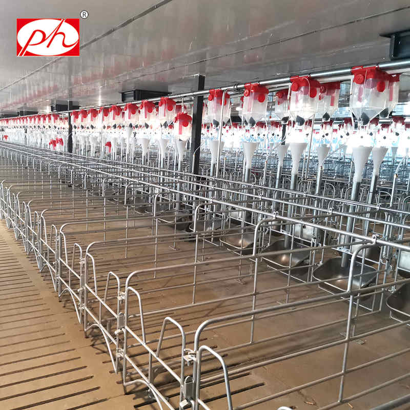 母豬用圓鋼單體欄 獨(dú)立食槽